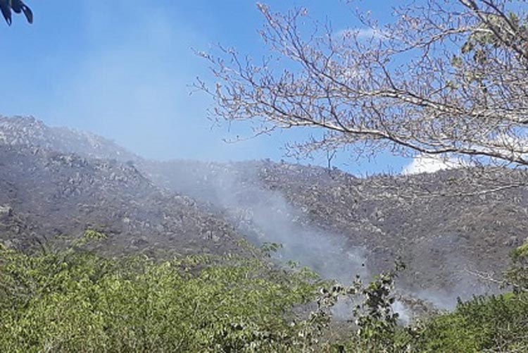 Incêndio atinge a região de Cana Brava na cidade de Livramento de Nossa Senhora