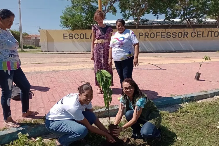 Guanambi: Secretaria de Meio Ambiente com programa de arborização de áreas públicas
