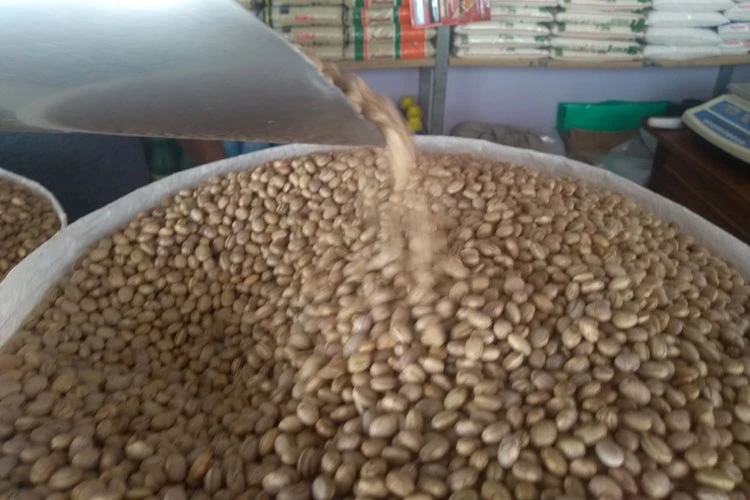 Safra de grãos da Bahia bate recorde em 2025, mas IBGE projeta queda para 2026