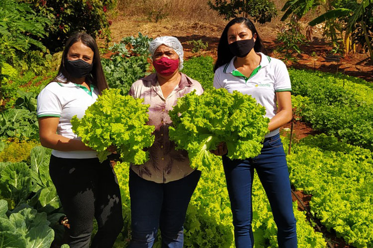 Serviço de assistência técnica promove desenvolvimento para agricultoras familiares em Ibiassucê