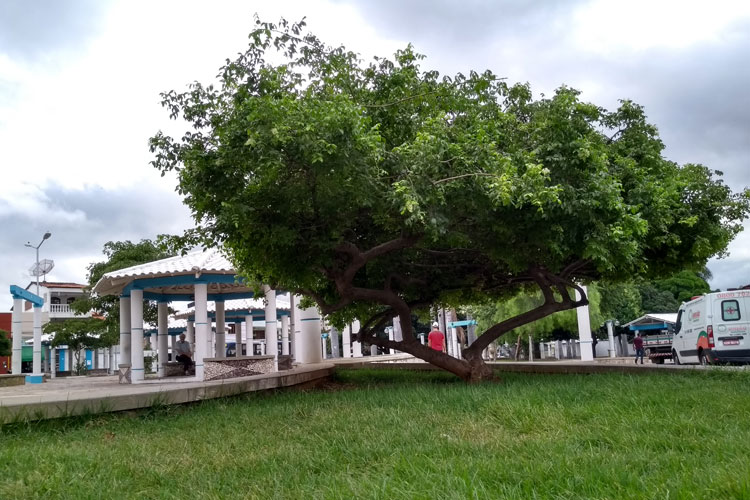 Previsão de frio e garoa neste final de semana em Brumado