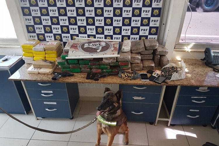 Conquista: Cão da Cipe Sudoeste localiza 80 kg de drogas e armas em ação integrada com a PRF