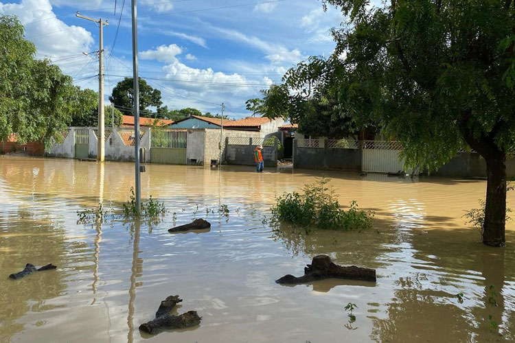 Após subida de nível de rios, Carinhanha acumula prejuízo de R$ 24 milhões na agropecuária