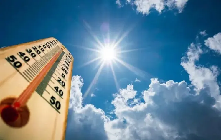 2023 pode ser ano mais quente já registrado, apontam cientistas