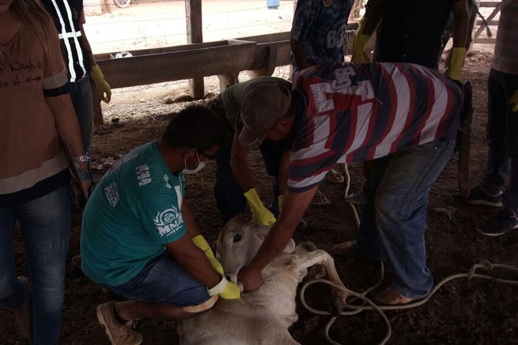 Adab capacita 35 novos vacinadores na microrregião de Brumado