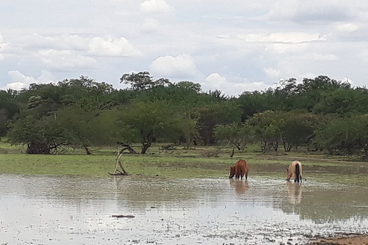 Chuva forte traz alívio ao homem do campo, mas causa estragados em alguns povoados de Boquira