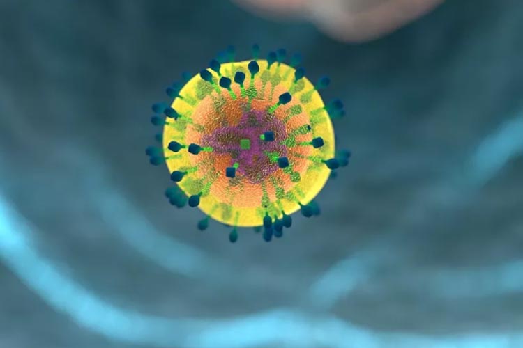 Novo tipo do vírus HIV é descoberto pela 1ª vez em 20 anos