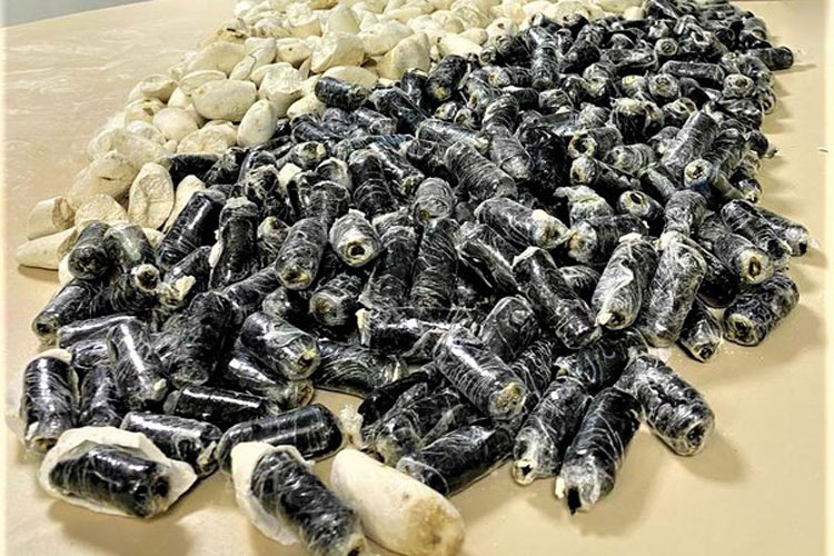Vitória da Conquista: Boliviana é presa com cocaína dentro de cápsulas de 'batata'