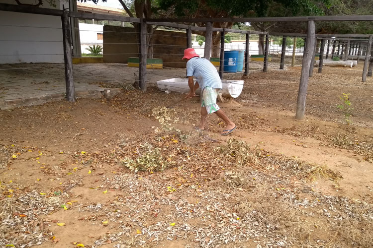 Iniciadas limpeza e montagem da estrutura do parque para a ExpoBrumado 2018