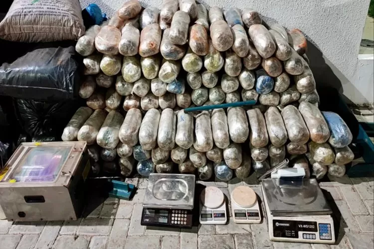 Canarana: Homem é preso com 634 kg de maconha em laboratório de drogas
