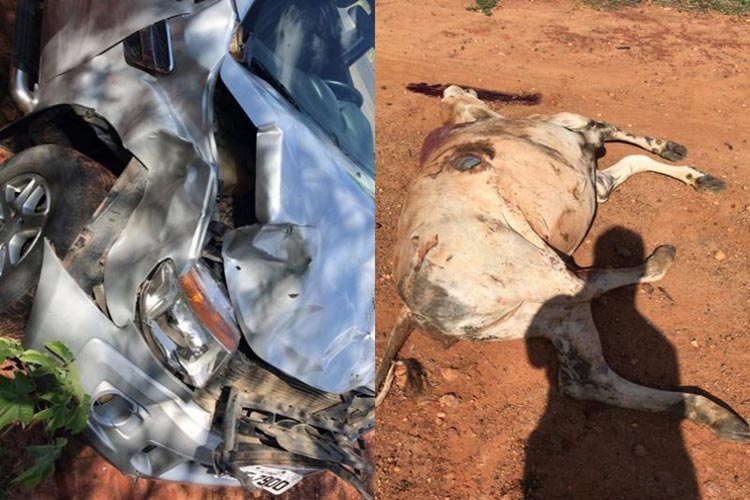 Carro fica totalmente destruído ao atropelar animal na BA-617 em Caculé