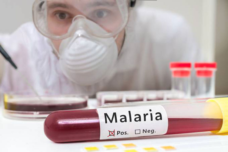 Medicamento que trata malária com apenas uma dose é aprovado