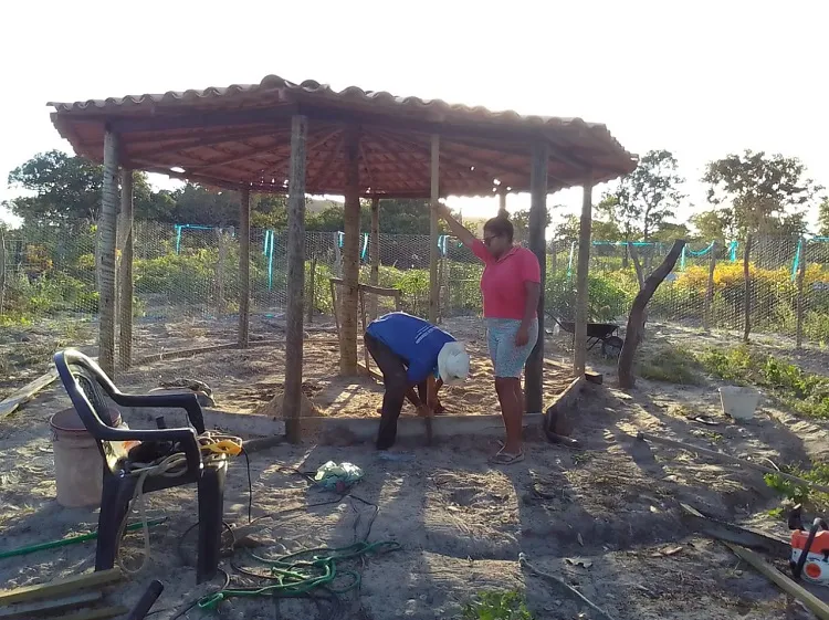 Mulheres agricultoras de Barreiras avançam na produção agroecológica