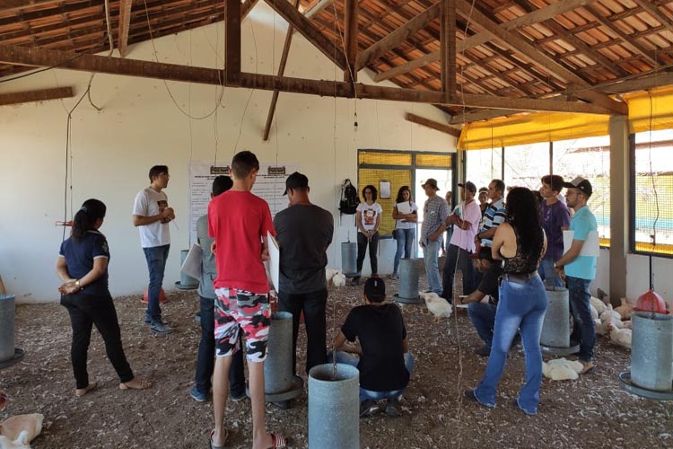 Malhada de Pedras: Produção aviária da Lagoa das Cacimbas vira referência em capacitação de agronomia