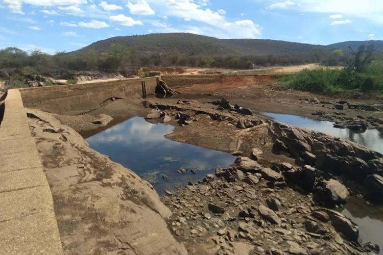 Ituaçu enfrenta crise hídrica, com morte de animais e lavouras sem produção