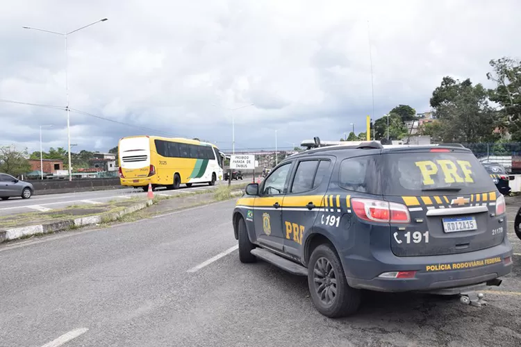 PRF resgata aves silvestres transportadas em lixeira de ônibus em Vitória da Conquista