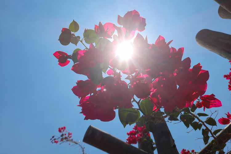 Primavera 40°C: Estação das flores chega com o registro do dia mais quente do ano em Brumado