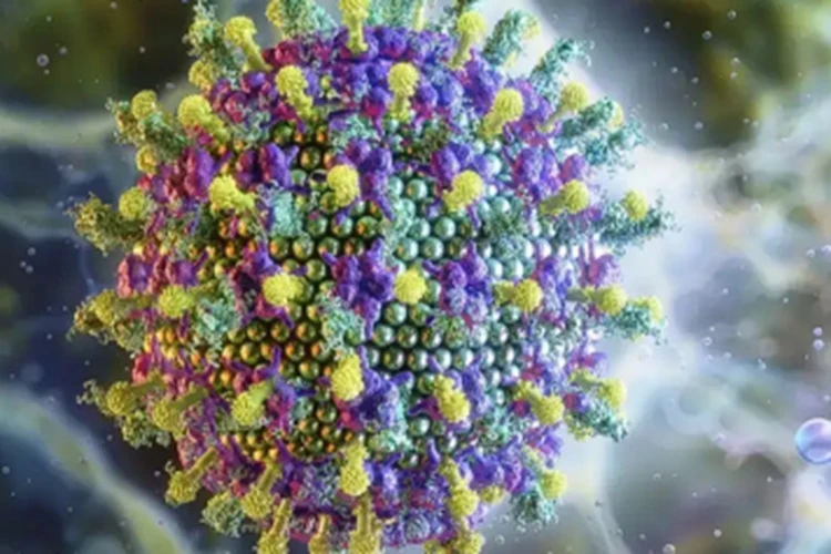 Ministério da Saúde diz que vírus Nipah não ameaça o Brasil