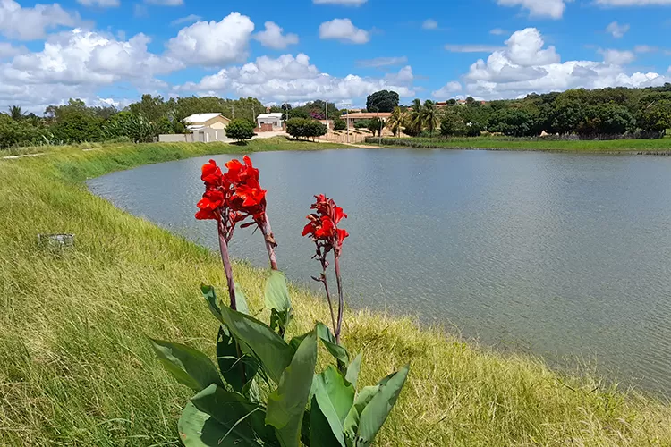 Governo Federal reconhece emergência devido à estiagem em Guajeru e Lagoa Real