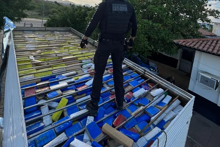 Polícia Civil apreende 600 kg de maconha na BR-030 em Ibiassucê