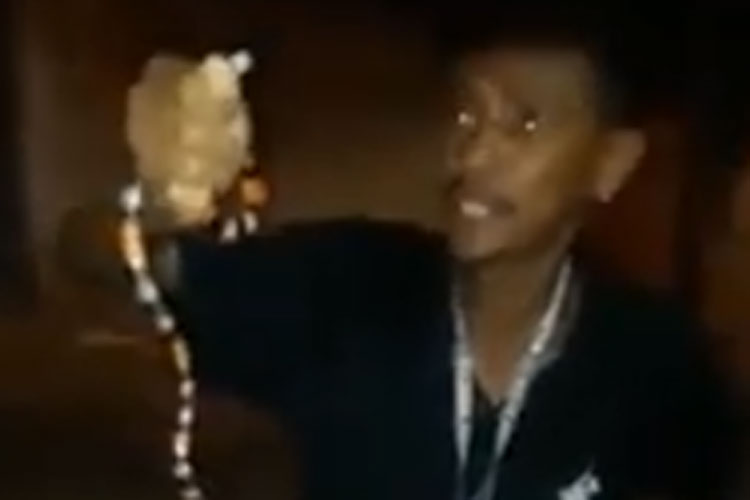Homem morre ao brincar com cobra coral na cidade de Caetité 