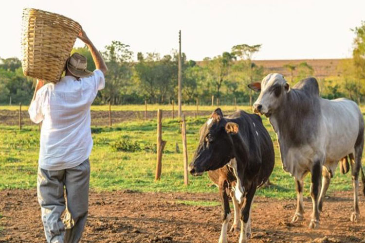 Brumado: Sindicato Rural faz balanço de 2022 e expectativa é positiva com novo governo