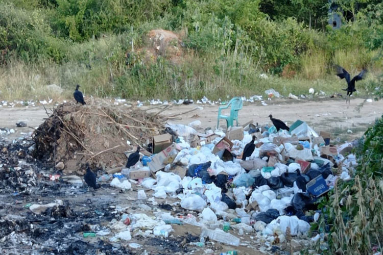 Aterro controlado dá nova destinação ao lixo em Malhada de Pedras