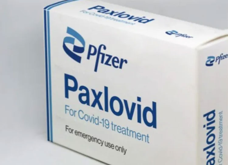 Governo Federal avalia compra de pílula da Pfizer contra Covid-19