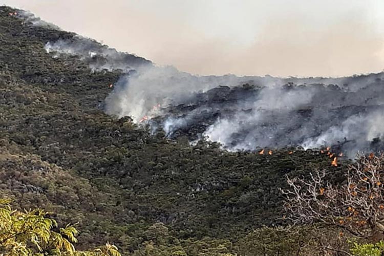 Rio de Contas: Grande incêndio volta a atingir áreas de proteção ambiental na Serra das Almas