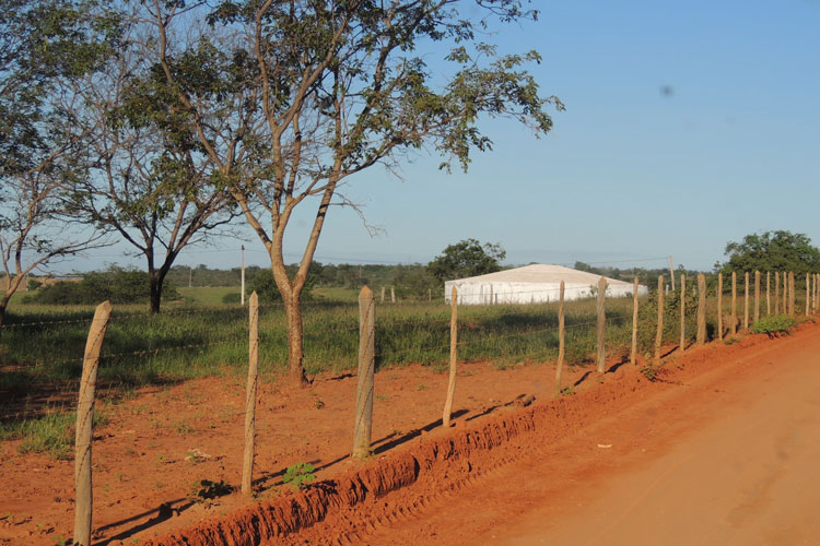 Malhada de Pedras: Comunidade do Jatobá Novo sofre com a falta de água