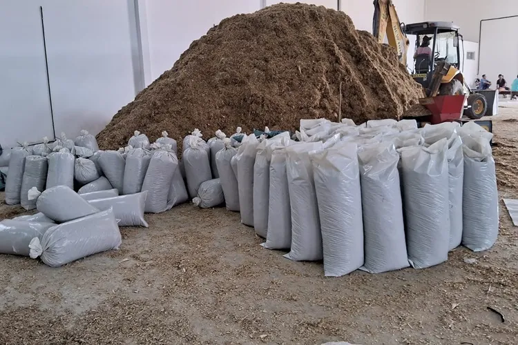 Seca: Prefeitura de Guanambi já atendeu 800 produtores com distribuição de silagem