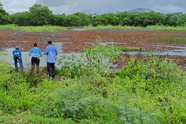 Guanambi: Esgoto da Embasa chega até leito de rio e mata milhares de peixes em lago particular