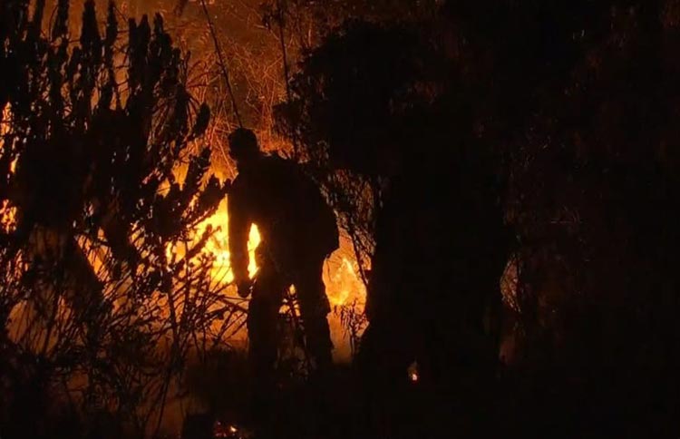 'É por amor à natureza', diz brigadista que atuou em combate a incêndio na Chapada Diamantina