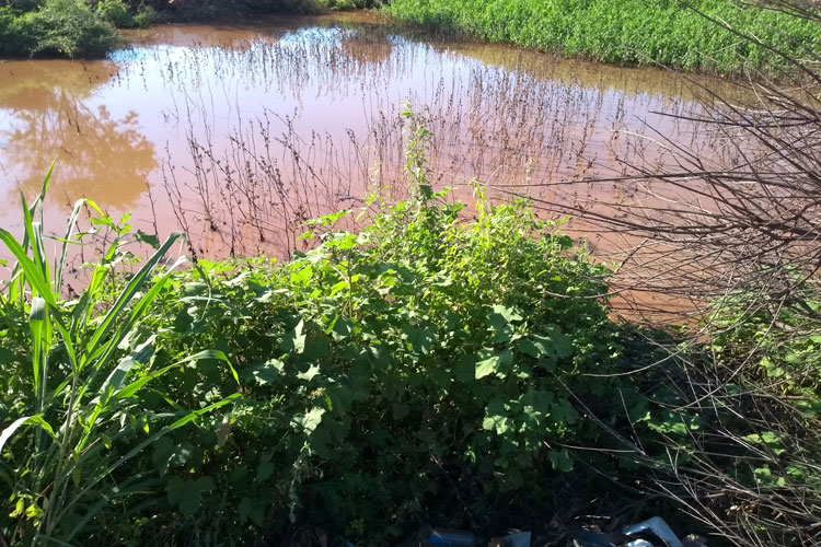 Chuvas do primeiro trimestre de 2018 ajudam a encher aguadas nas comunidades rurais de Brumado