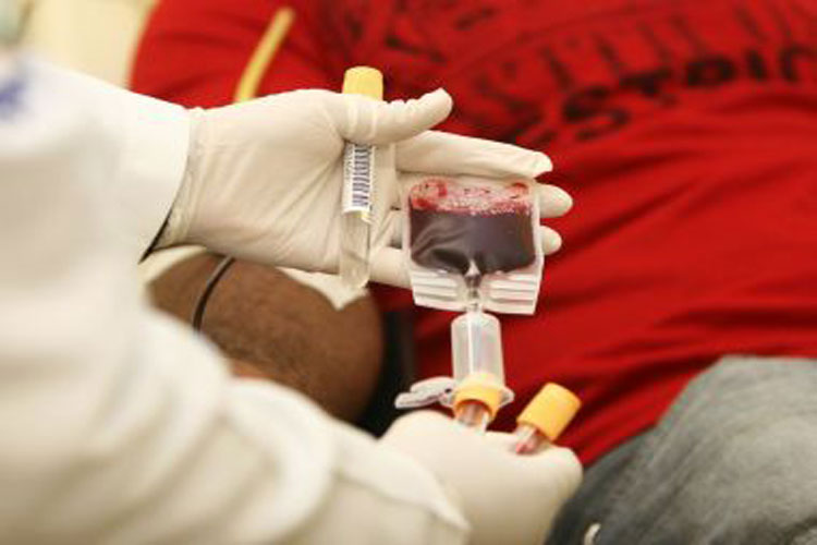 Cresce número de voluntários para doar sangue com mais de 60 na Bahia