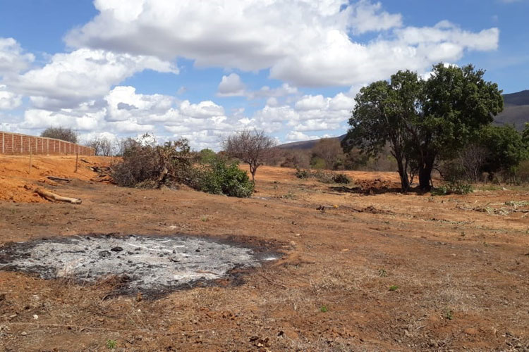 Brumado: Invasão a terras da União no Santa Inês promove desmatamento de árvores nativas