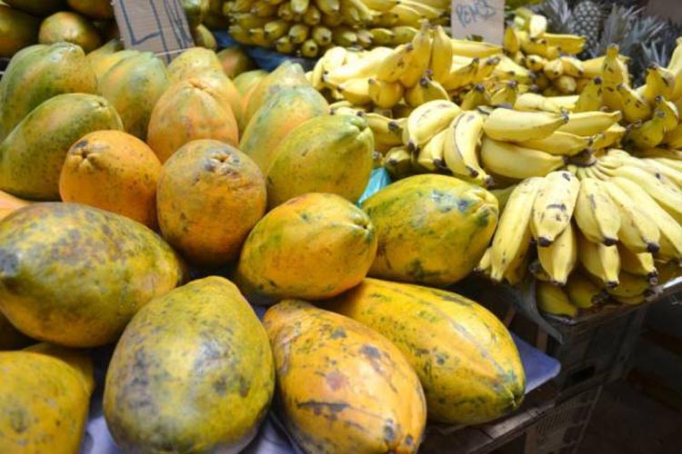 Carnaval 2020: Boa alimentação garante maratona da folia