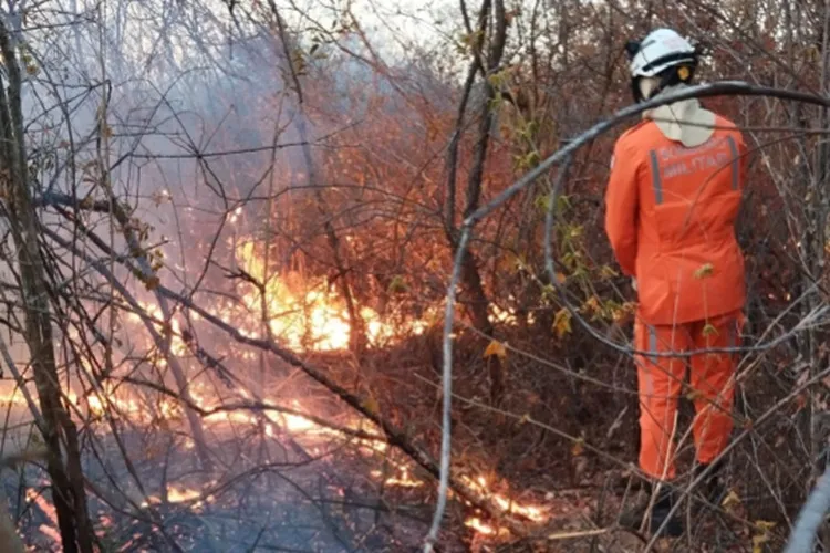 20º BBM controla incêndio em área de vegetação em Bom Jesus da Lapa