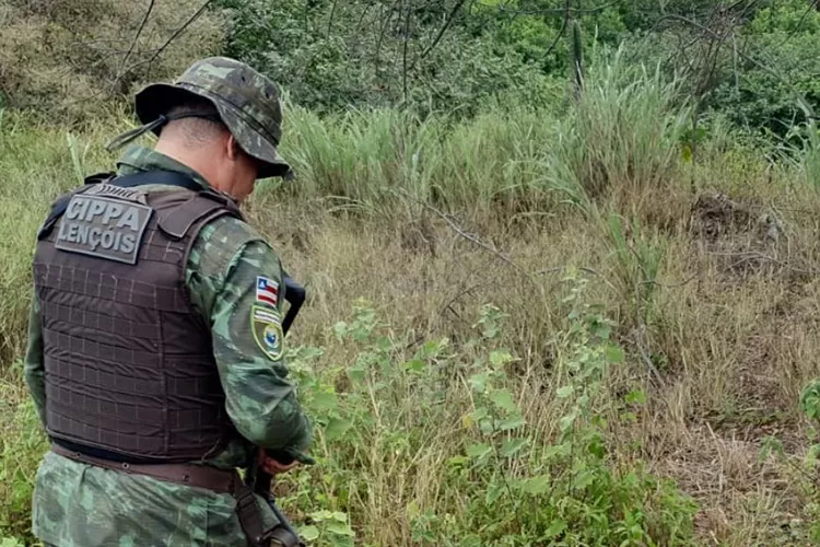Polícia Ambiental freia rinhas de galo e tráfico de animais silvestres em Guanambi