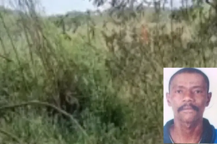 Brumado: Homem que estava desaparecido é encontrado morto em matagal no anel rodoviário