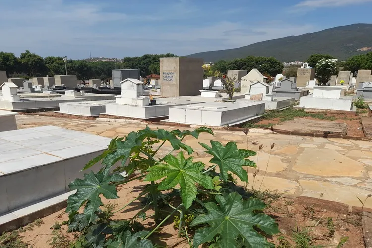 Brumado: 'Abandono', popular resume condições no cemitério às vésperas do dia de finados