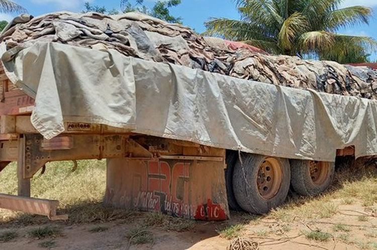 Carga com 18 mil quilos de couro bovino é apreendida pela Polícia Rodoviária Federal na Bahia