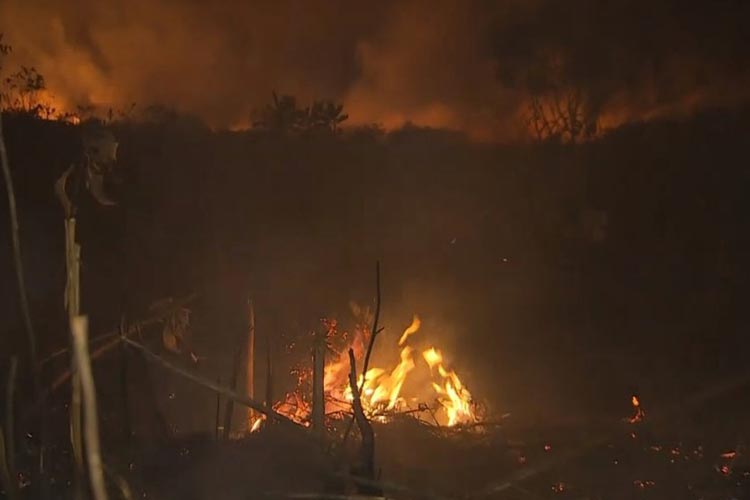 Focos de incêndio atingem Parque Nacional da Chapada Diamantina