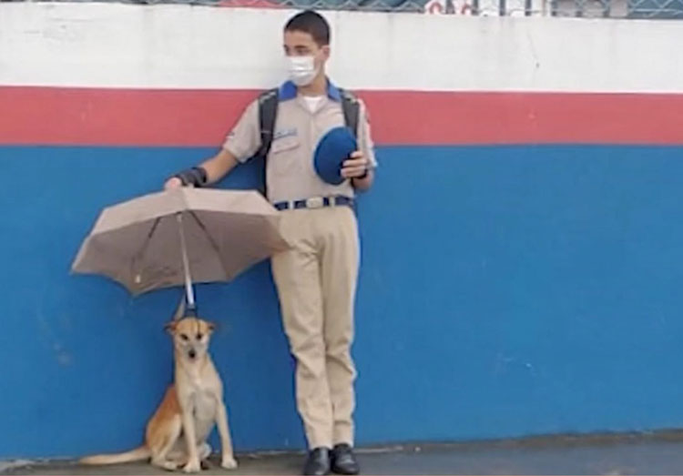 Estudante protege cão durante chuva no sul da Bahia e imagem viraliza na internet