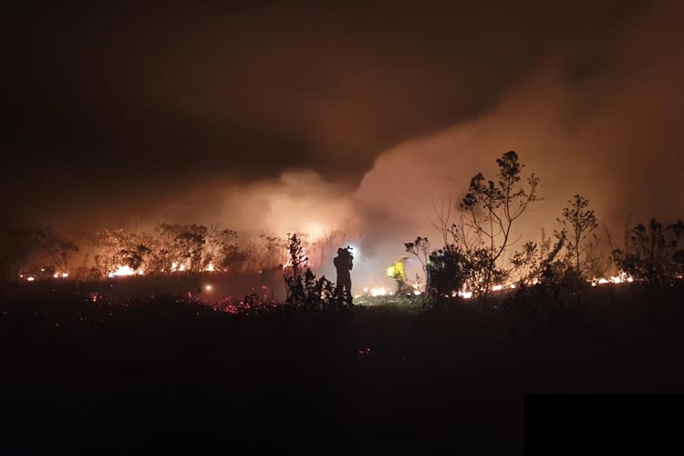 Focos de incêndio atingem Parque Nacional da Chapada Diamantina