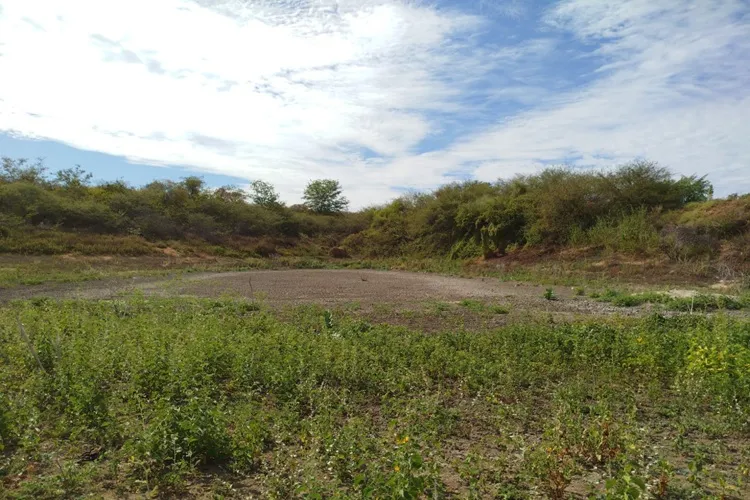 Calamidade hídrica assola 50% da população de Malhada de Pedras