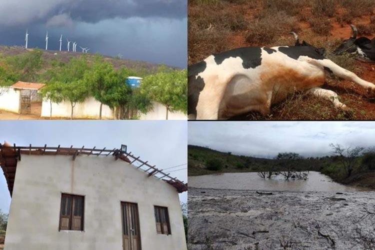 Chuva forte causa estragos na zona rural de Guanambi