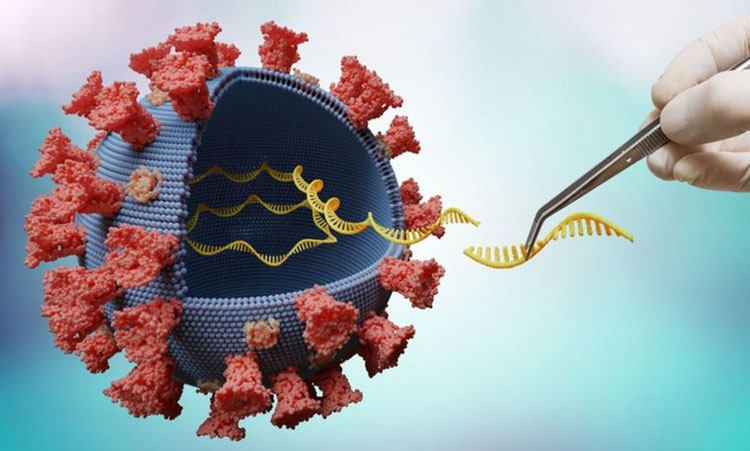 Coronavírus: Estudo mostra que variante delta pode dobrar risco de internação