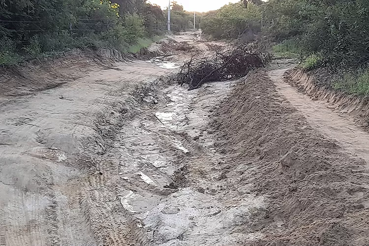 Brumado: Secretário confirma melhorias nas estradas vicinais visando retorno das aulas