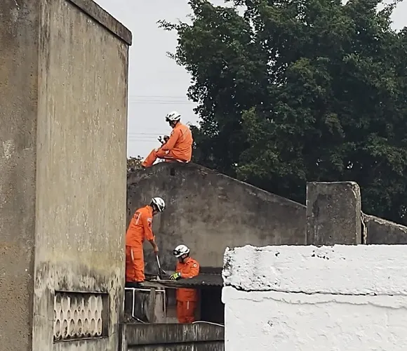 Cachorro fica preso em telhado de casa após perseguir assaltante em Jequié